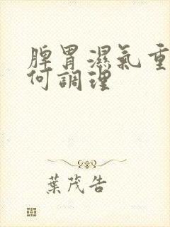 脾胃湿气重该如何调理
