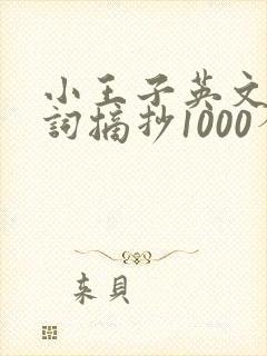 小王子英文版好词摘抄1000个