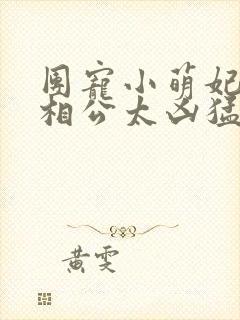 团宠小萌妃王爷相公太凶猛正版阅读