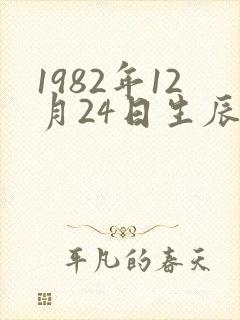 1982年12月24日生辰八字