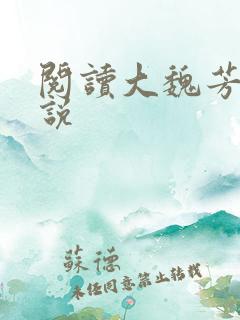 阅读大魏芳华小说