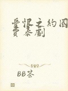 爱恨之约国语免费泰剧