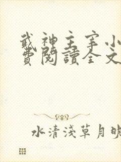 武神主宰小说免费阅读全文免