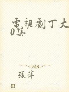 电视剧丁大命40集