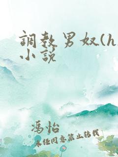 调教男奴(h)小说