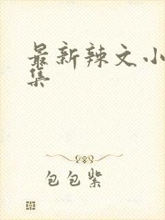 最新辣文小说合集