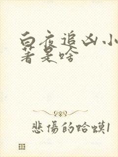白夜追凶小说原著是啥