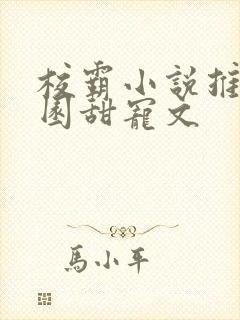 校霸小说推荐校园甜宠文