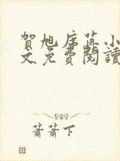 贺旭席苒小说全文免费阅读