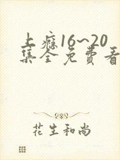 上瘾16~20集全免费看