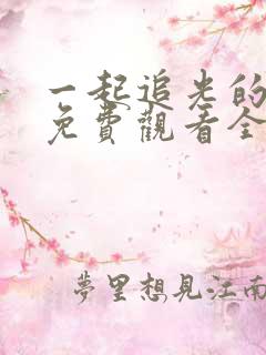 一起追光的日子免费观看全集