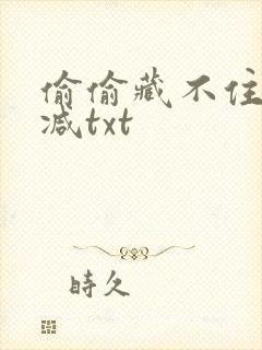 偷偷藏不住无删减txt