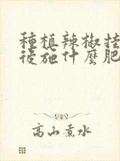 种植辣椒挂果以后施什么肥比较好