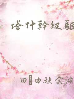 塔什干级驱逐舰