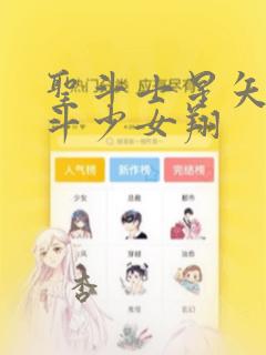 圣斗士星矢 圣斗少女翔