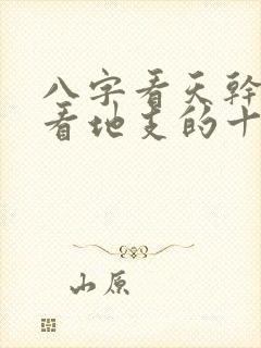 八字看天干还是看地支的十神