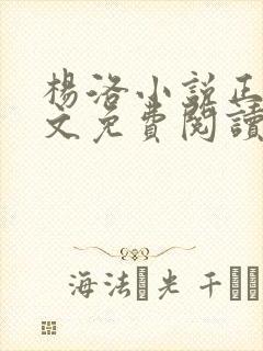 杨洛小说正版全文免费阅读