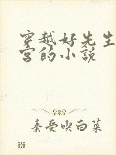 穿越好先生开后宫的小说