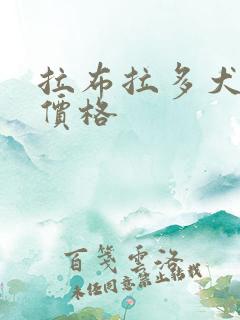 拉布拉多犬黑色价格