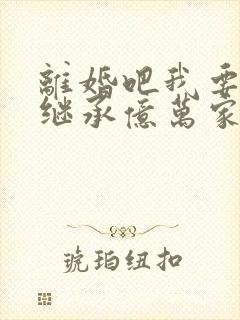 离婚吧我要回家继承亿万家产大结局