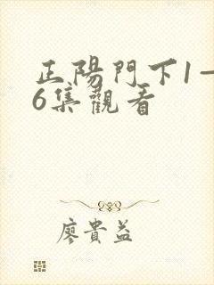 正阳门下1—36集观看