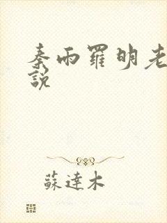秦雨罗明老旺小说