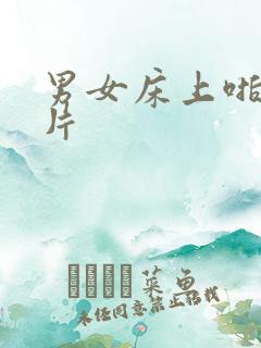 男女床上啪啪毛片
