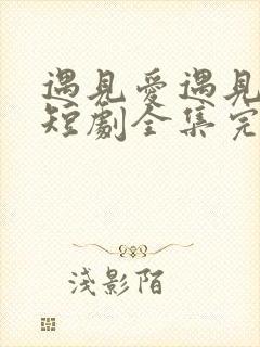 遇见爱遇见幸福短剧全集完整版