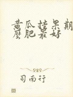 黄瓜挂果期施什么肥最好
