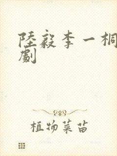 陆毅李一桐的新剧