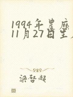 1994年农历11月27日生辰八字