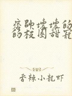 痞帅坏坏的校霸的校园甜宠文