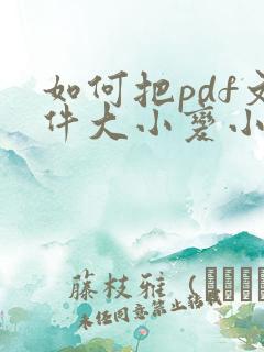 如何把pdf文件大小变小