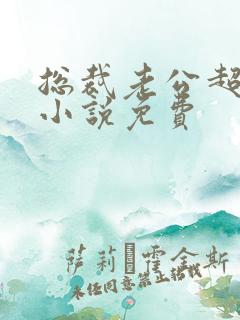 总裁老公超给力小说免费