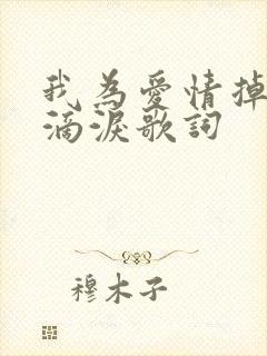 我为爱情掉过几滴泪歌词