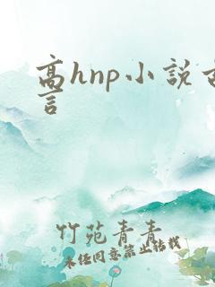 高hnp小说古言