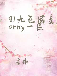 91九色国产porny一区