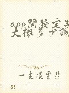 app开发定制大概多少钱