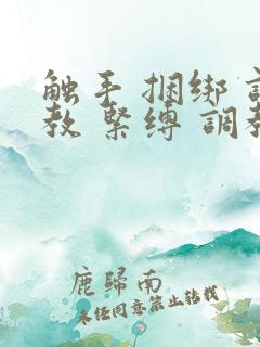触手 捆绑 调教 紧缚 调教