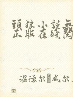 头狼小说无删减正版在线阅读