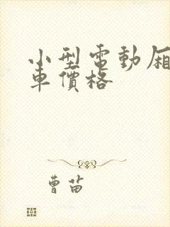 小型电动厢式货车价格