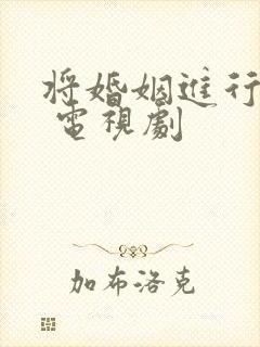 将婚姻进行到底 电视剧
