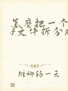 怎么把一个pdf文件拆分成多个