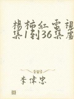 杨柿红电视剧全集1到36集剧情