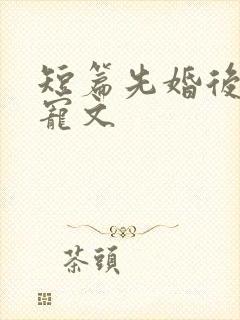 短篇先婚后爱甜宠文
