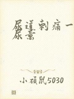 尿道刺痛一直有尿意