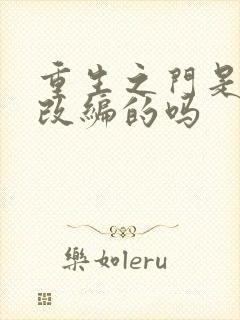 重生之门是小说改编的吗