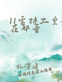 11处特工皇妃在哪看