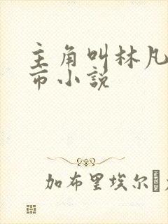 主角叫林凡的都市小说