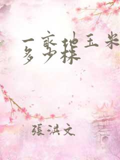 一亩地玉米大概多少株
